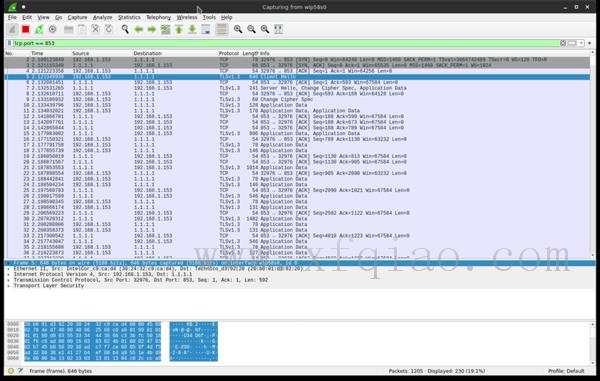 如何在Fedora上通过TLS配置域名系统 如何使用systemd