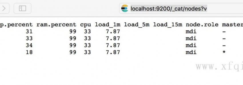 弹性搜索7.x安装和配置指南 Elasticsearch7