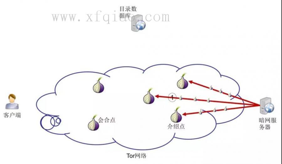 暗网知识小科普 暗网中的网站建立后,需要将自己